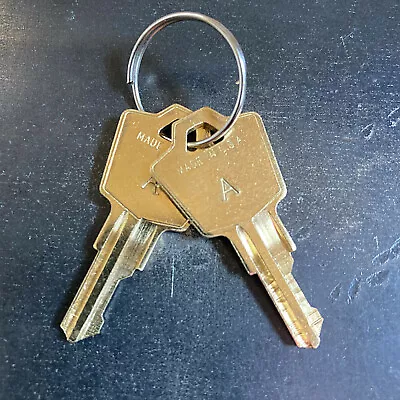 $13.99 • Buy (2) Sentry 1100 1150 1170 Safe Keys Cut Key Code A - Z & No Code - Free Tracking