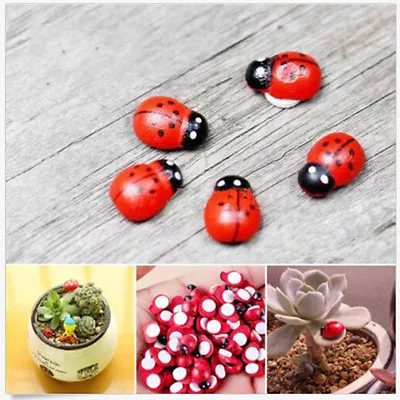 20X Mini Ladybug   Garden Ornaments Scenery Craft For Plant Fairy Decor HGJ-u- • £2.64