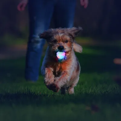 £12.99 • Buy Ultra LED Dog Ball Toy Light Up Pet Flashing Toys Throw Ball Bounce Interactive