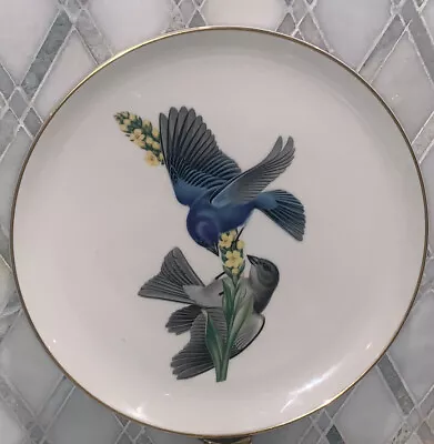 Vtg Athos Menaboni Birds Indigo Bunting Mullein Syracuse Plates China 10.5”Diam • $24.99