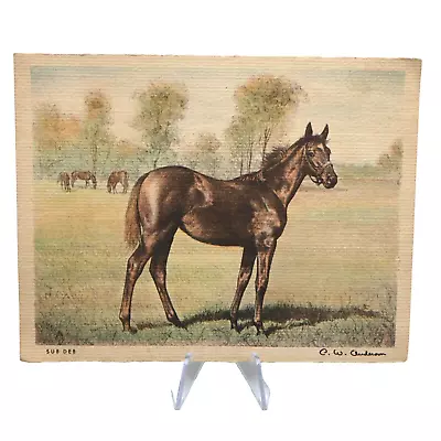 C.W. Anderson Horse Lithograph Litho Sub Deb Black Horse 4x5 • $24.49