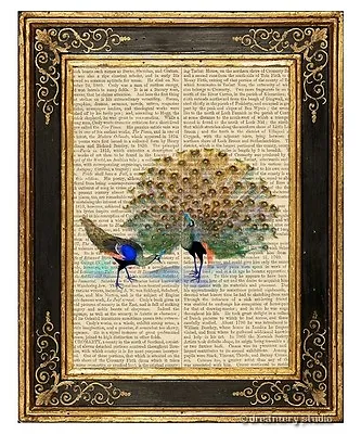 Peacock #5 Art Print On Vintage Book Page Home Wall Hanging Decor Gifts Birds • $13.99