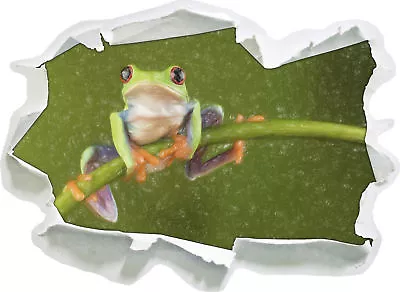 Tree Frog On Bamboo Art Crayon Effect - 3D Look Paper Wall Tattoo Sticker • £17.20