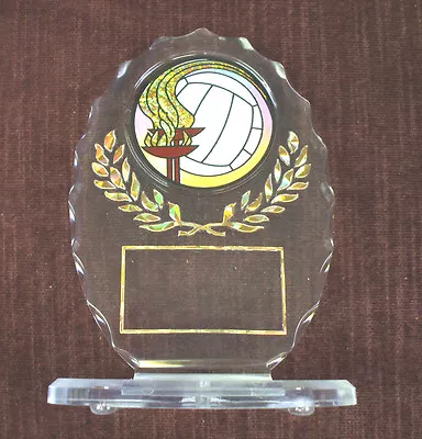 VOLLEYBALL  Torch Trophy Acrylic Award Oval • $2.99