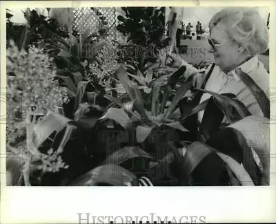 1989 Press Photo Margie Boe Of Algiers Grooms Bromeliads For Garden Show • £15.19