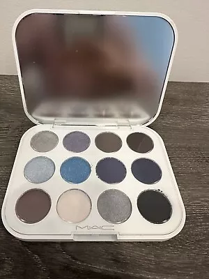 Mac Snowbody's Business Eye Shadow Palette X 12 • $38.58