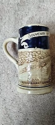 Early CEDAR POINT The Breakers Hotel Sandusky Ohio OH Beer Stein Mug • $25