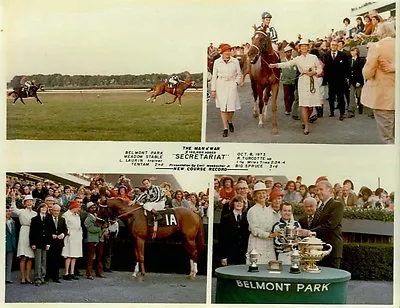 Secretariat - 1973 Man O' War Stakes 8x10 Horse Racing Photo Collage! • $9.99