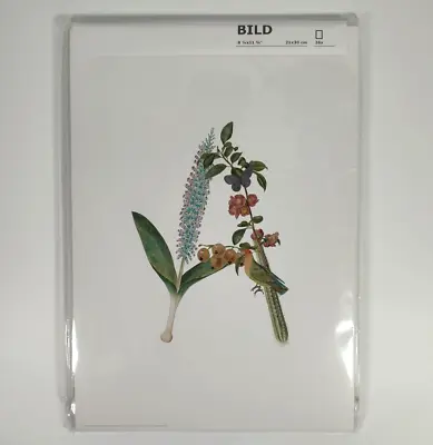 IKEA Bild Set Of 26 Joelle Wehkamp Art Cards Botanical A-Z Alphabet 21x30cm New • £22.99