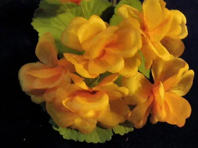 Vintage Millinery Flower 1 1/2  Soft Melon Orange Lot Of 6 = 1 Geranium KR7  • $7.23