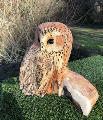 £60 • Buy Bespoke Chainsaw Owl Carvings In Wood 132023B