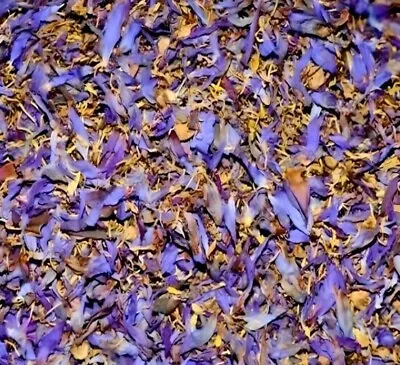Blue Lotus Flowers Sacred Lily Nymphaea Caerulea Organic (Sri Lanka | Ceylon) • $298