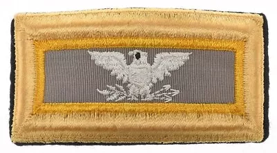 Vietnam War Era US Army Finance Colonel Shoulder Board Male • $14.99