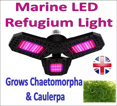 E27 MARINE REFUGIUM 8w LED LIGHT CHAETO CAULERPA MACRO ALGAE SUMP TANK FISH • £29.99