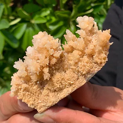 140G Beautiful Natural Stalactite Crystal Cluster Mineral Specimen/China • $4.25