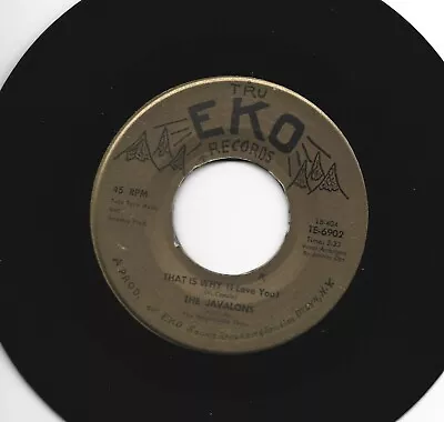 Doowop - 45 -javalons  - That Is Why  ( I Love You ) - Hear - 1961 Tru Eko • $9.99