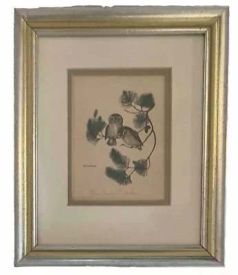 Anne Worsham Richardson Artist Signed Print  Saw Whet Owl  Professional Framed • $39.99