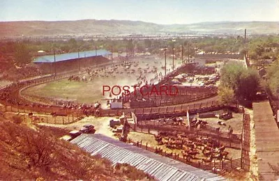 ELLENSBURG WASHINGTON Rodeo Grounds Where Annual Rodeo Is Held Labor Day Weekend • $7.49