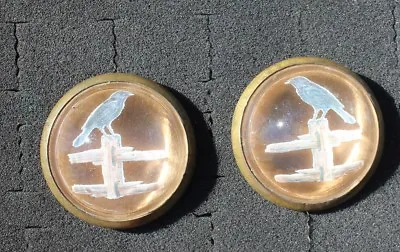 48-53 - Pair Vintage Glass Domed Rosettes Crow On Rustic Wood Fence • $60