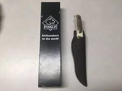 Puma IP Durango 814050 Stag Horn Scales/Grips Leather Sheath Solingen Germany • $195