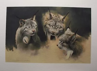 Michael DUMAS   Lynx In Three Aspects   LTD Giclee Art Print Publisher Proof 2/8 • $395