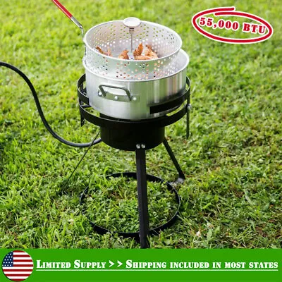 10 Qt Outdoor Aluminum Fish Deep Fryer Cooker Kit Pot Propane LP Patio Steel NSF • $64.95