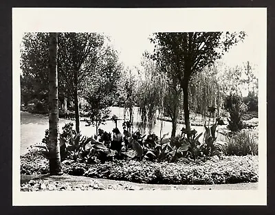 1985 Canadian Nature Exhibit Epcot Center Walt Disney World Vintage Press Photo • $12.50
