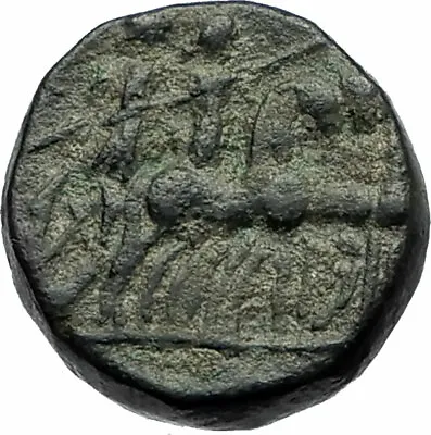 KYME In AEOLIS 200BC Artemis Amazon Apollo Chariot Ancient Greek Coin I77124 • $118.80