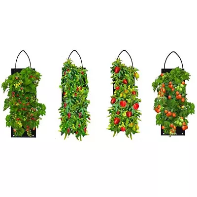Organic Hanging Vegetable Garden Seed Kit With Soil Block GMO Free -4 Options • $16.99