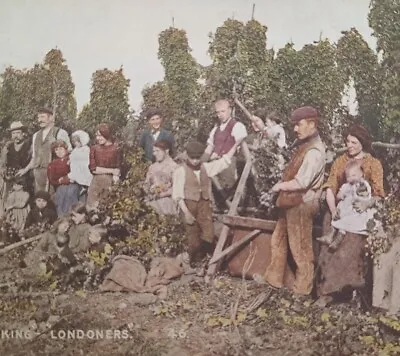 Kent Hop Picking Londoners 1906 Vintage Printed Postcard A14 • £9.99