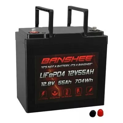 Banshee 12V 55AH  LiFePO4 Deep Cycle Battery For Quicki P500 Zippie Z500 • $195.88