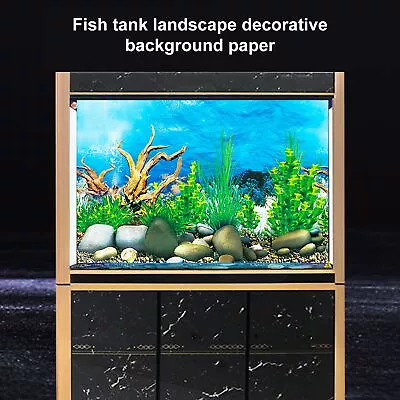 Colorful Aquarium Backdrop Realistic Fish Tank Background Vibrant 3d Poster • $21.67