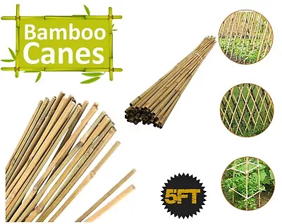 5ft Garden Bamboo Canes Heavy Duty Strong Thick Plant Support Flower Stakes  • £9.98