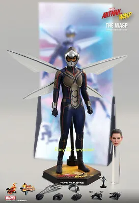 Hot Toys MMS498 Ant-Man And The Wasp 1/6 The Wasp Action Figure In Stock • $299.99