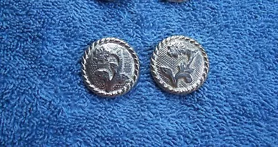 Vintage Alpaca Silver 1  Bridle Rein Or Headstall Chicago Screw Conchos PAIR • $36