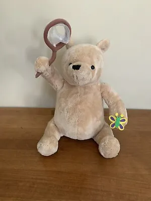 RARE Gund Classic Pooh Musical Plush Toy With Butterfly Net NWOT • $35