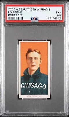 1909-1911 T206 Lou Fiene Portrait American Beauty W/Frame PSA 5.5 #23144932 • $1059.93