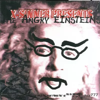 The Angry Einsteins X-Sinner – Cracked (2003) Retroactive Records – RAR7777 CD • $135.99