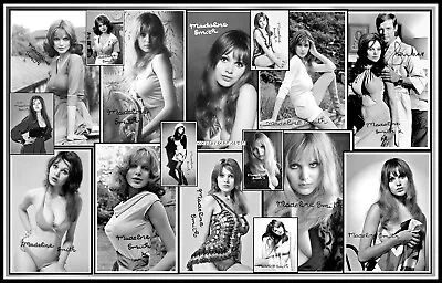 Madeline Smith Signed Collage Cotton Canvas Image. Limited Edition (MS-5)x • $13.88