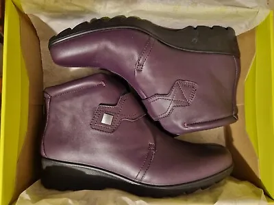 Hotter Tamara  Purple Leather  Fleece Lined Ankle Boots Size 7 New In Box • £45.99