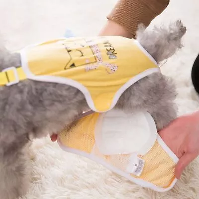 Disposable Nappies Dog Diapers Pet Pads Sanitary Pants Absorbent Panties • $12.51