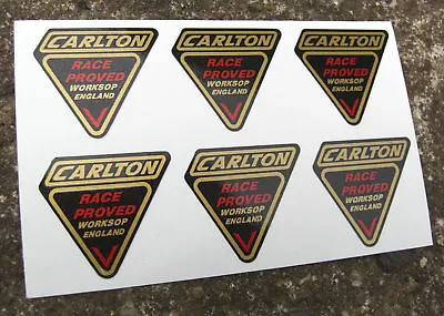 Vintage Cycle Fork Frame Decals Stickers To Fit CARLTON • $6.26
