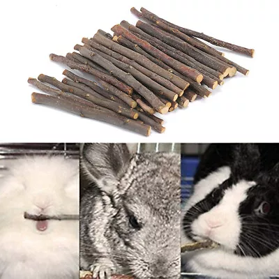 20/40/60pcs Pet Chew Toy Multipurpose Teeth Clean Rabbit Chew Stick Hamster • $9.70