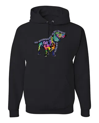 Colorful Dachshund Is My Spirit Animal Animals Unisex Graphic Hooded Sweatshirt • $34.99