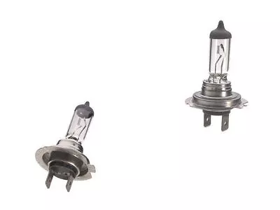 For 2000-2006 Mercedes S430 Headlight Bulb Sylvania 81334BSFQ 2001 2002 2003 • $20.17