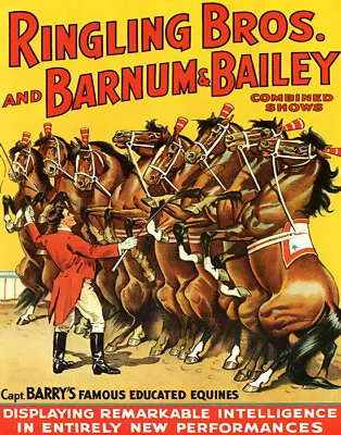 Poster Circus Famous Educated Equines Horse Perfomances Vintage Repro Free S/h • $19.95