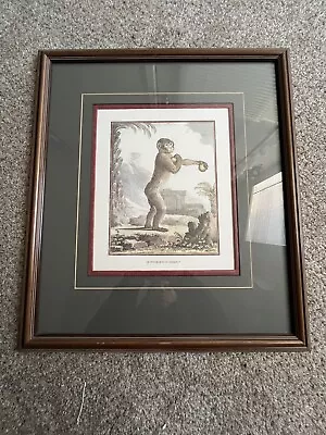 Vintage Monkey Painting • $16.49