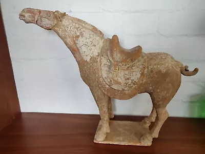 Chinese Tang Dynasty Pottery Horse Antique • £980