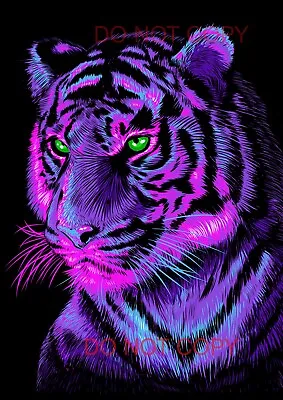 Tiger Poster A4 GLOSSY Poster Picture + FREE POSTAGE • £3.85