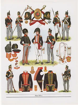 Vintage British Uniform Print 1812 - 1815 Royal Regiment Of Artillery • £27